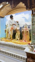 IMG_1498.jpg